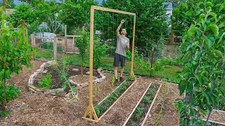 How to Build a Tomato Trellis Using Only ONE PIECE of WOOD, CHEAP and EASY Backyard Gardening