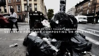 NYC Landlords Will Have To Sort Tenant Garbage Due To Mandatory Food Composting Law