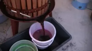 How to make wine in Bulgaria