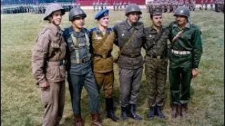 Shield 84/Stit 84 - Warsaw Pact Military Exercise