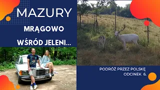 MRĄGOWO i zagroda jeleniowatych. MAZURY. Wakacje 2020. Podróż przez Polskę #06. Podróże Beczką #09