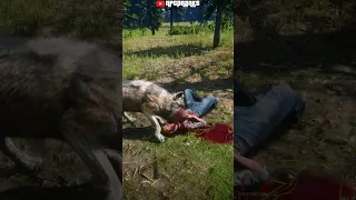 4 Brutal NPC Deaths - Which One Was The Worst? | RDR2