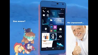 Можно ли выжить на Windows Phone в 2023 году? Или почему ему нужен был Фил Спенсер в свое время