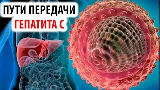 Пути передачи  гепатита С