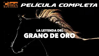 La Leyenda del Grano de Oro | Película Completa | Cine Mexicano