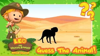 IS THAT A CAT OR A DOG?! 😺🐶 | Guess the Animal! | BRAND NEW SERIES! | Leo the Wildlife Ranger