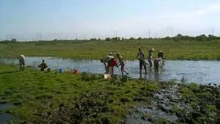 Голубой патруль 2010 МОУ "Трудфронтская СОШ"