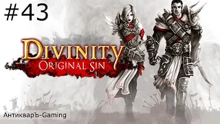 Divinity: Original Sin Enhanced Edition. Прохождение. Серия №43