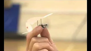 World's Smallest Radio Controlled Model Plane