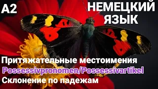 Урок 2. Possessivpronomen. Склонение притяжательных местоимений. Немецкий для начинающих.