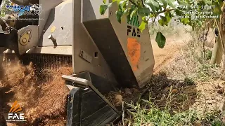 FAE STC200DT PTO Stone Crusher behind New Holland T7040 tractor stone crushing inside apple orchard