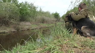 НАС ЧУТЬ НЕ ЗАГРЫЗЛИ! РЫБАЛКА С ВЕРНЫМ ДРУГОМ НА УДОЧКУ!  fishing