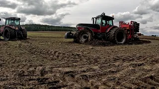 Trudne warunki w polu po ulewnych deszczach. Pierwsza wtopa Case IH Magnum 7250. Wykopki 2023.