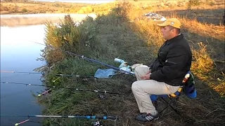 Рыбалка на карпа в августе.Fishing for carp in August.My fishing.