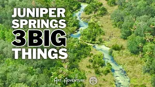 Juniper Springs: 3 big things, free paddle & meet ELVIS (if you dare)! 😳