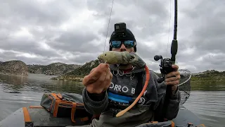 Fishing The PB Rat Around Flooded Trees