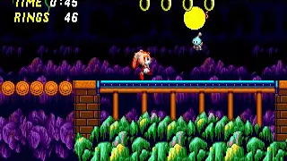 Sonic The Hedgehog 2 Pink Edition Mystic Cave Zone 1 (Cream & Cheese)