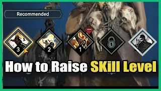 How to Raise Skill Level in Viking Rise FAST | Where to Get Skill EXP & Skill Shards