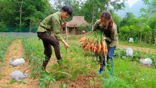 Ep 21 :360 days with his wife to build a new life - Harvest and preserve carrots |Building Free Life