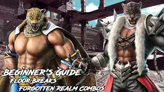 Armor King and King - Beginner's Guide - Forgotten Realm Floor Breaks and Combos