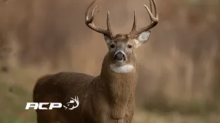 Sépaq Anticosti - Chasse aux chevreuils secteur Galiote