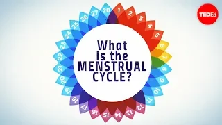 How menstruation works - Emma Bryce