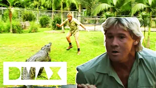 Steve Irwin Relocates Australia Zoo's Crocodiles | Crocodile Hunters: The Best Of Steve Irwin