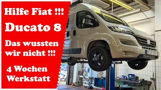 Fiat Ducato 8 - Das wussten wir nicht !!! - Vier Wochen Werkstatt - Wohnmobil Kastenwagen Probleme