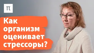 Общий адаптационный синдром — Анна Усенко / ПостНаука