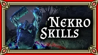 DER NEKROMANT UND SEINE SKILLS - Necromancer - ESO News von A-Z – The Elder Scrolls Online