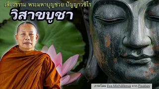 วันวิสาขบูชา..ธรรมะคลายทุกข์ พระมหาบุญช่วย ปัญญาวชิโร