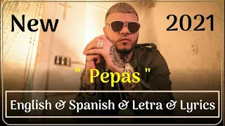 Farruko Pepas English Translation Lyrics Letra Kurdish