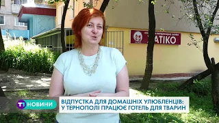 "Ви - у відпустку, улюбленець - в готель", - у Тернополі запровадили ноу-хау для тварин