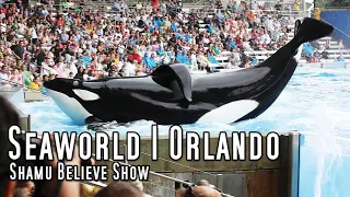 Complete SeaWorld Shamu "Believe" Show | Orlando | Dawn Brancheau | Tilikum | Trainers in the Water