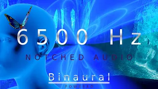 Tinnitus Sound Therapy - 6500 Hz Binaural Powered