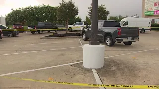 Man wanted in deadly Friendswood shooting, shot, killed himself, deputies say