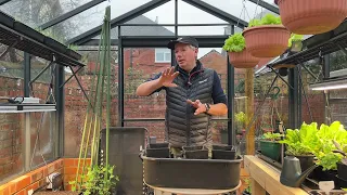 Making a start on the very early potatoes