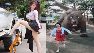 Try Not To Laugh 😂 Cutest People Doing Funny Things 😺😍 Part 56