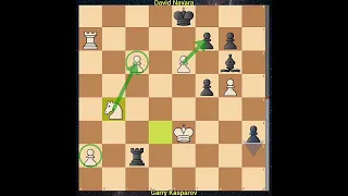 Fire Circle !! | Garry Kasparov vs. David Navara, 2017 Blitz(Rapid)