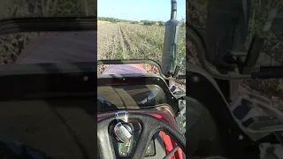 Mahindra 7030 tanjiranje suncokretišta