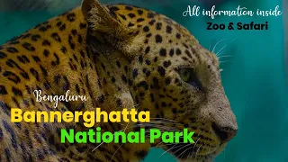 Bannerghatta National Park || Bannerghatta zoo Bangalore