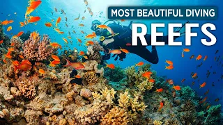 Most Beautiful Diving Places Around The World | Travel Guide 2023