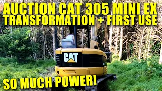 CAT 305CR AUCTION TRANSFORMATION + DIGGING STUMPS