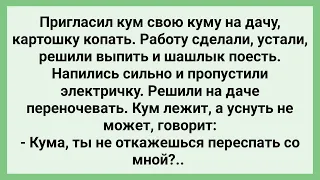 Кум Позвал Куму на Дачу и Сделал Пикантное Предложение! Сборник Свежих Смешных Жизненных Анекдотов!