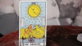 How to Read the Moon Card | Tarot Cards