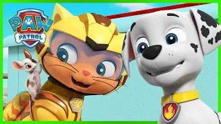 Cat Pack & Moto Pups Rescues 🎡| PAW Patrol Compilation | Cartoons for Kids