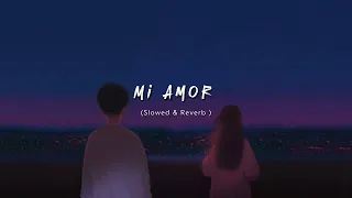 Mi Amor (Slowed + Reverb) || Lyricssayss