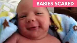 Babies Scared of Farts Compilation - Try Not To Laugh - Funny & Aww Cute Babies Compilation 2019