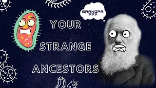 MEET YOUR ANCESTORS  (ALL OF THEM!)