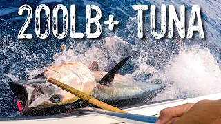 GIANT Bluefin Tuna Fishing GOING OFF in Southern California!!